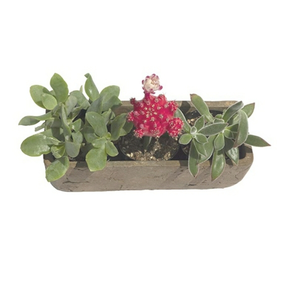 Dakota Through Rust UV Coated Planter - Picture 4 of 4